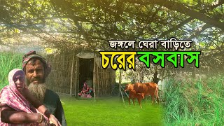 জঙ্গলের মধ্যে বাড়ি ঘর করে বসবাস করছে রাহাতপুর চরের মানুষ।Rahatpur Char.   Village Life bangladesh.