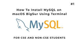 How To install MySQL On macOS Using Terminal | Hindi