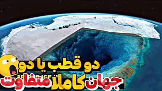 8 تفاوت جذاب بین قطب شمال و جنوب که نمیدانستید | کدام یک از قطب ها سردتر است ؟