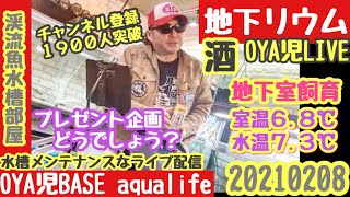 【日淡】虹鱒もぐもぐタイム \u0026 水換え【初見歓迎】地下水槽部屋水換えメンテナ雑談配信【地下リウム】アクアリウム、渓流魚、淡水魚、釣り、ガレージライフ、20210208