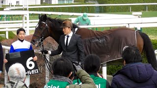 ロードレガリスと武豊、アルデバランSの口取り。現地映像、京都競馬場