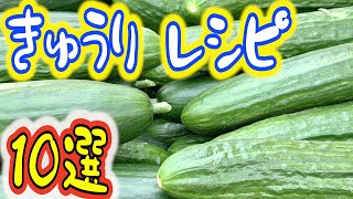 【きゅうりを大量消費】和え物から温かい料理まで♪ 超簡単でクセになるレシピ10品