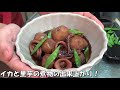 【冷凍イカでも美味しく出来る！】イカと里芋の煮物の作り方