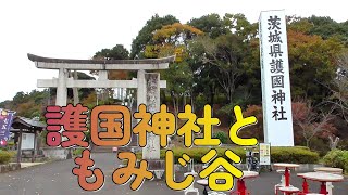 護国神社と偕楽園もみじ谷