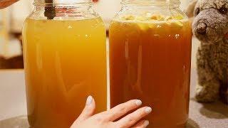 ASMR Making Mead and Apple Cyser 🍯