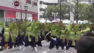 天狗ぅ　2015四日市よさこい祭り 11/29(日)　駅前通りパレード会場