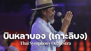 บินหลาบอง (เกาะลิบง)  | Thai Symphony Orchestra