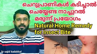 Natural Home Remedy for Insect Bite, പ്രാണികളുടെ കടിയേറ്റാൽ ഉപയോഗിക്കേണ്ട നാച്ചുറൽ മരുന്ന്