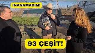 Zeytin Ağacı Sırları: Türkiye'de 93 Yağlık ve Sofralık Zeytin Çeşidi var! Şaşırtıcı Gerçek!