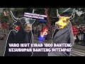 VARO IKUT KALAP!!! SAAT NONTON KIRAB 1000 BANTENG NUSWANTARA DI BATU 👹👹👹- 14TH BANTENG NUSWANTARA