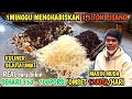 OMSET TEMBUS 17JUTA/HARI 3,5 TON PISANG LUDES.!! PEMUDA CERDAS.!! MESKI PERNAH DI TIPU ORANG