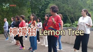 【元宏排舞教室】活動-31 檸檬樹 排舞 / Lemon Tree line dance / 20231021舞力全開旅遊