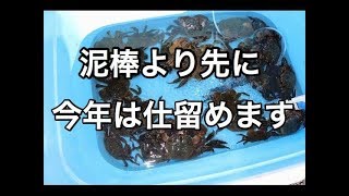 平塚で1番のモクズカニハンター始動！！かかってきなさい！