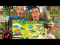 REAL BUGS Vacuum BUG CITY- Bug Hunt Kids!! STINK BUG, Spiders, ROLY POLY, Worm, TOAD, Beetle & More!