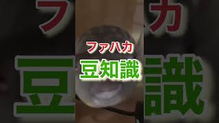 ファハカ豆知識！　元気がない時の対処法！