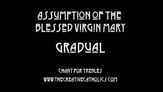 Assumption of the B.V.M. Gradual | The Creative Catholics