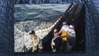 The History of Health and Safety in BC's Fishing Industry