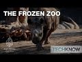 The Frozen Zoo - TechKnow