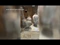 child accidentally smashes 3 500 year old vase at museum in israel