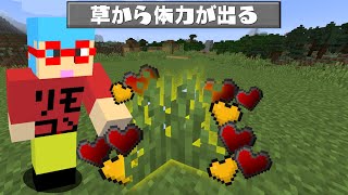 【マイクラ】草から体力が貰える世界でサバイバルPVPしたら最強すぎた！？