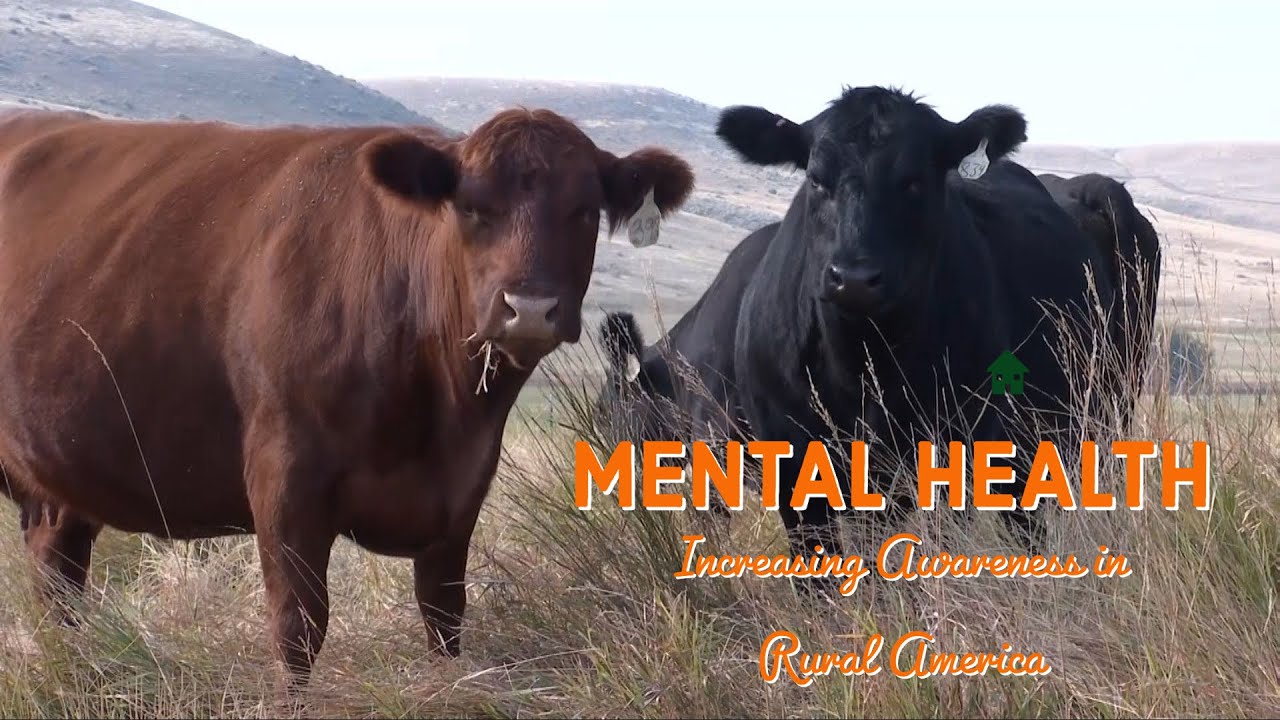 Increasing Mental Health Awareness In Rural America - YouTube