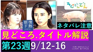 【ちむどん】第２３週見どころ・タイトル解説～鴨葱か？【ネタバレ注意】