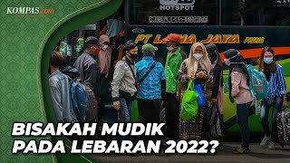 Pendapat Epidemiolog Mengenai Mudik pada Lebaran 2022