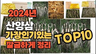 산양삼 인기상품 TOP10 순위 비교 추천