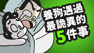 狗與鹿 ｜養狗遇過最詭異的5件事情 ｜真實發生的未解懸案....