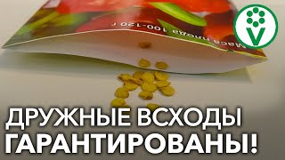 ЭТО МИГОМ ЗАСТАВИТ ПРОРАСТИ ДАЖЕ СТАРЫЕ СЕМЕНА!