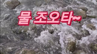 투망 캠핑 충주에 이런곳도  있었나?!