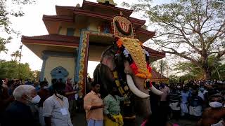 peringottukara pooram പെരിങ്ങോട്ടുകര പൂരം 2022