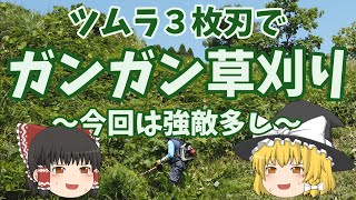 ガンガンいこうぜ！ツムラ３枚刃で草刈り　～今日も仕事だぜ～