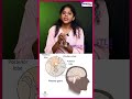 பிட்யூட்டரி சுரப்பி மட்டுமே 5 harmones அ சுரக்குது pituitary gland   hormones