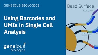 Geneious Biologics: Understanding Barcodes and UMIs