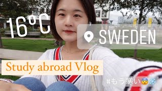 [北欧暮らし] 留学vlog#3「スウェーデンの野菜は安い？？」｜居住許可カードget |　散歩｜Fika time｜Welcome party on zoom | スーパー購入品｜夜ご飯