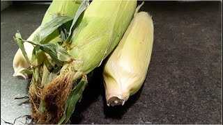 የበቆሎ እሸት ከነሽፋኑ እንዲህ ይቀቀላል(fresh corn)