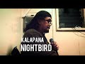 Nightbird (kalapana karaoke cover)