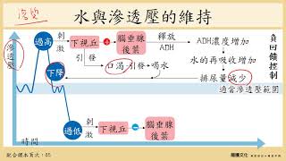 108選生三 3-2 排泄作用_3水與礦物質的恆定