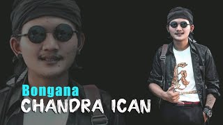 BONGANA - CHANDRA ICAN BAJIDOR ENAK