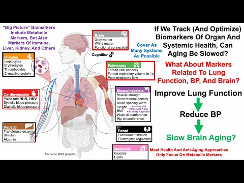 How does age influence lung capacity?