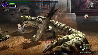 Arena Barioth Solo (IG) (Mhgu/Mhxx) Monster Hunter Generation Ultimate