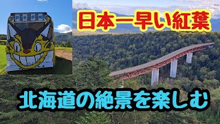 【新型アトレー】日本一早い紅葉と、絶景を楽しんできました♪