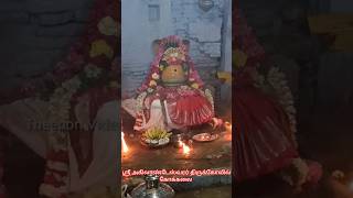 கோக்கலை ஶ்ரீ அகிலாண்டேஸ்வரர் திருக்கோவில்|Kokkalai Sivan Temple|மஹா சிவராத்திரி முதல் கால பூஜை #god