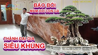 Ông chủ Mâm Xôi Con Gà với cơ ngơi Siêu Khủng khiến ai đến triển lãm Việt Trì cũng phải hoa mắt