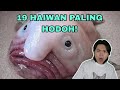 19 Haiwan Paling Hodoh Di Dunia!