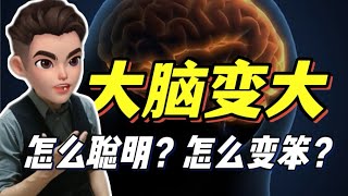 人类大脑在变大，越大越聪明吗？怎样才能更聪明？怎样会变笨呢？