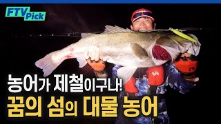 농어의 천국 어청도에서 괴물농어를 만나다 [FTVpick]