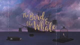 The Whale And The Bird|Tribute Video|96 Movie|Kaathalae Kaathalae Song|96 Song|True Love Status |