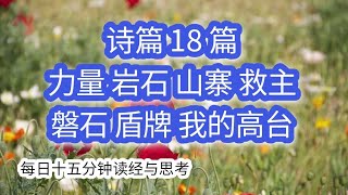 每日十五分钟读经与思考 - 诗篇 18 \